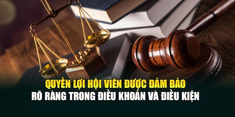 Quyền lợi hội viên được đảm bảo rõ ràng trong điều khoản và điều kiện 