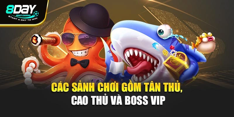 Các sảnh chơi gồm Tân Thủ, Cao Thủ và Boss VIP